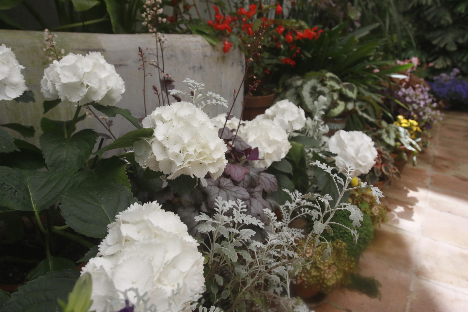 Ruta San Lorenzo de los Patios de Córdoba, en imágenes