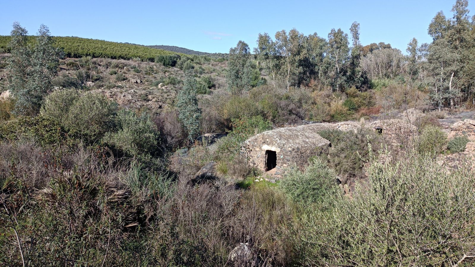 Nuestro objetivo final: el Molino de Campos Nuestro objetivo final: el Molino de Campos