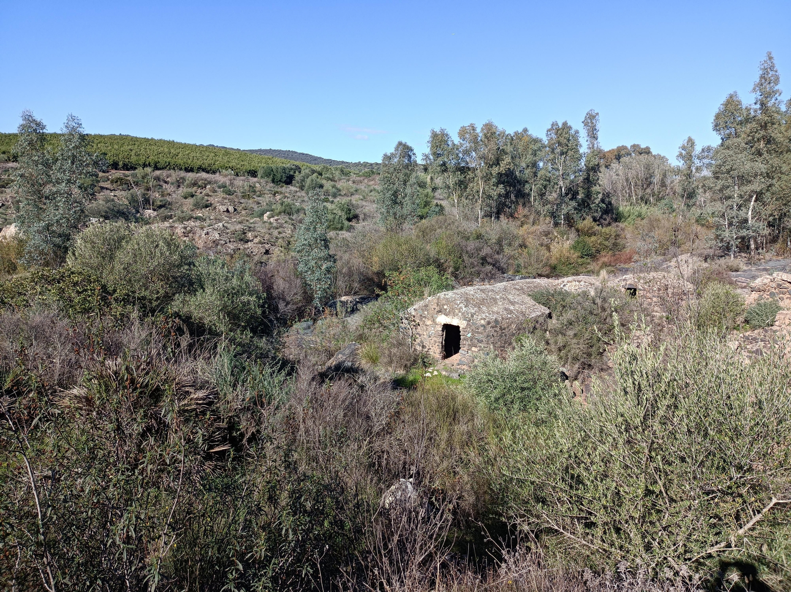 Nuestro objetivo final: el Molino de Campos y el de Asperillas Nuestro objetivo final: el Molino de Campos