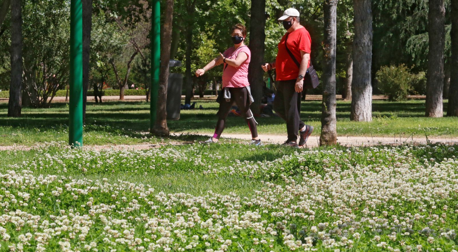 Dos personas pasean por un parque de Córdoba en plena floración.