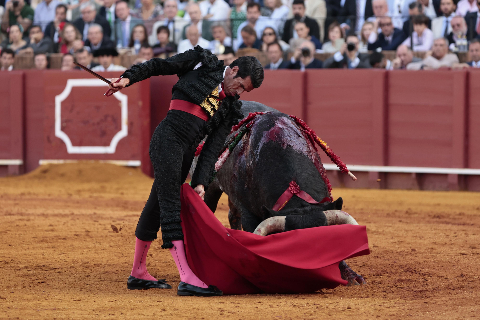 las imágenes del festejo