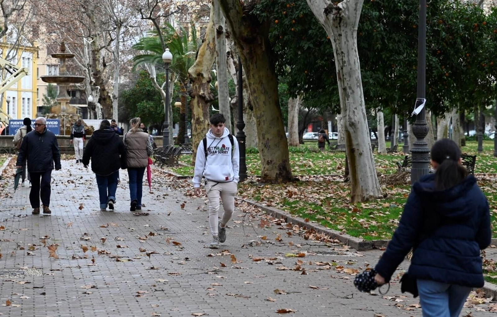 El temporal de viento y lluvia en Córdoba, en imágenes