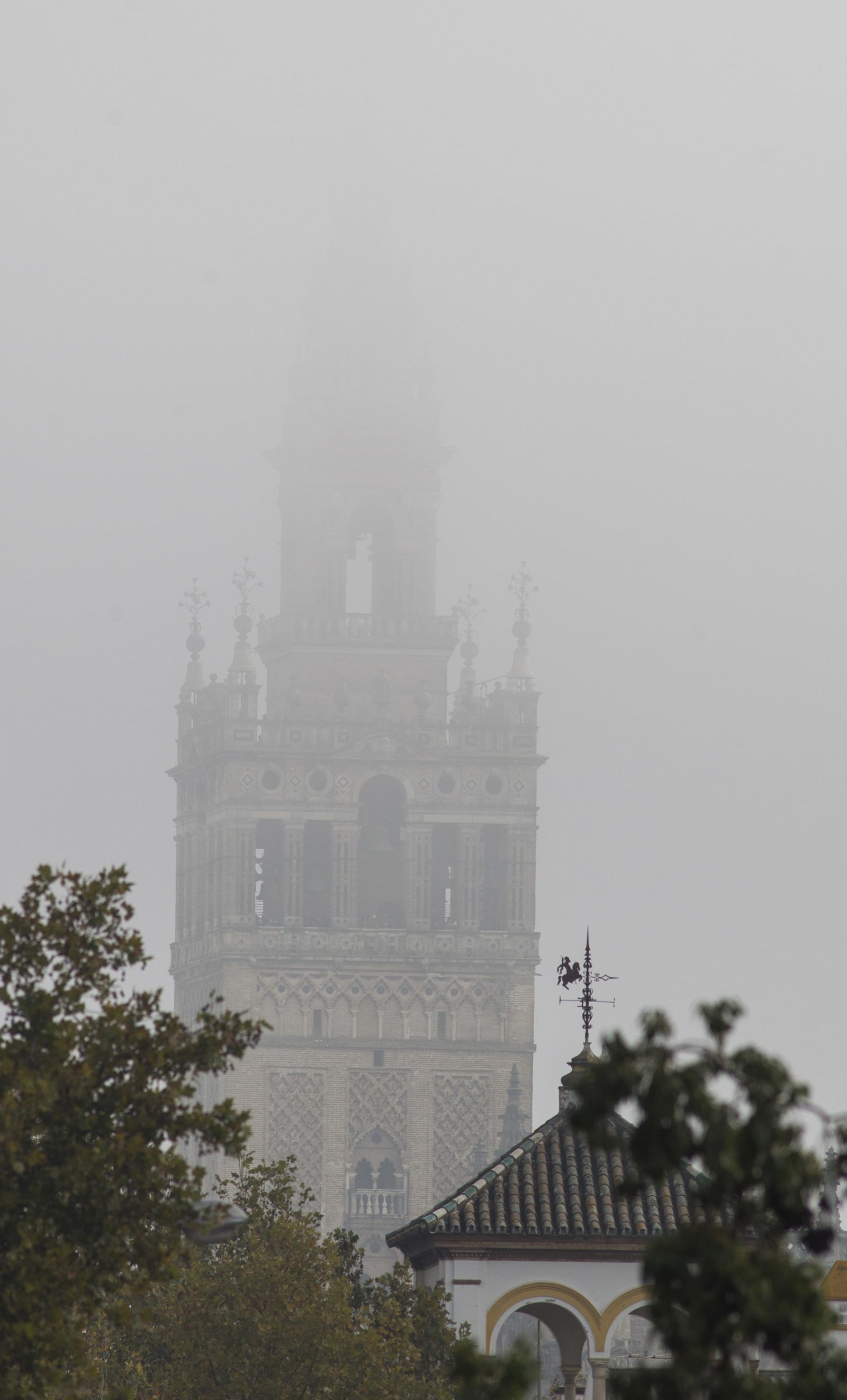 Mañana con niebla en Sevilla