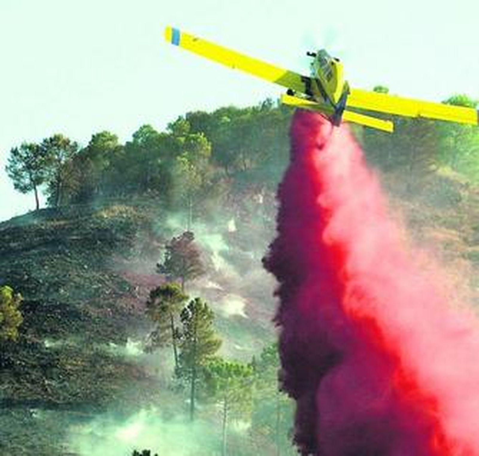 Efectivos del Infoca trabajan en la extinción de un incendio ocurrido en Alhaurín el Grande.