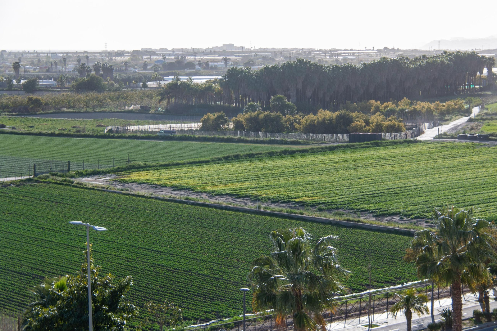 Vista de parte de la vega de Motril