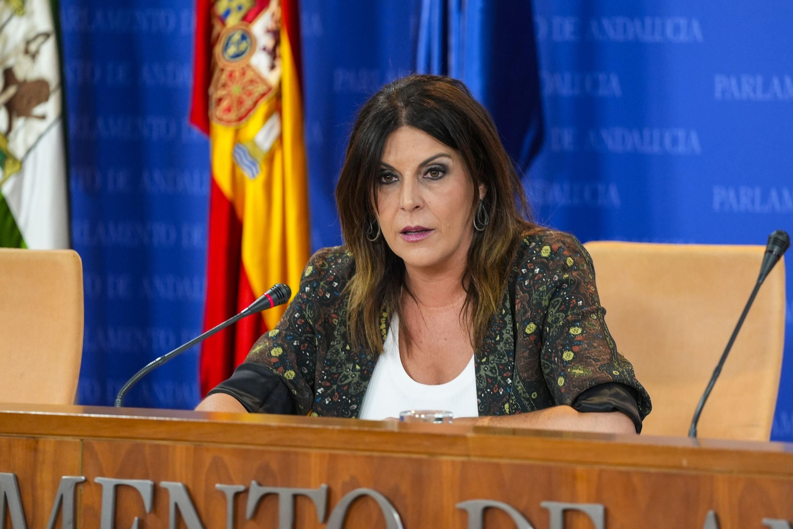 Ángeles Férriz esta mañana en el Parlamento.