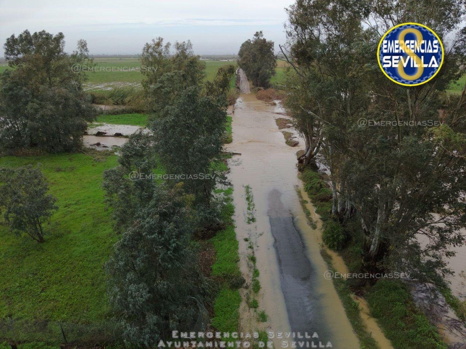 Así pasa el Guadalquivir por Sevilla tras las fuertes lluvias de la borrasca 'Marta'