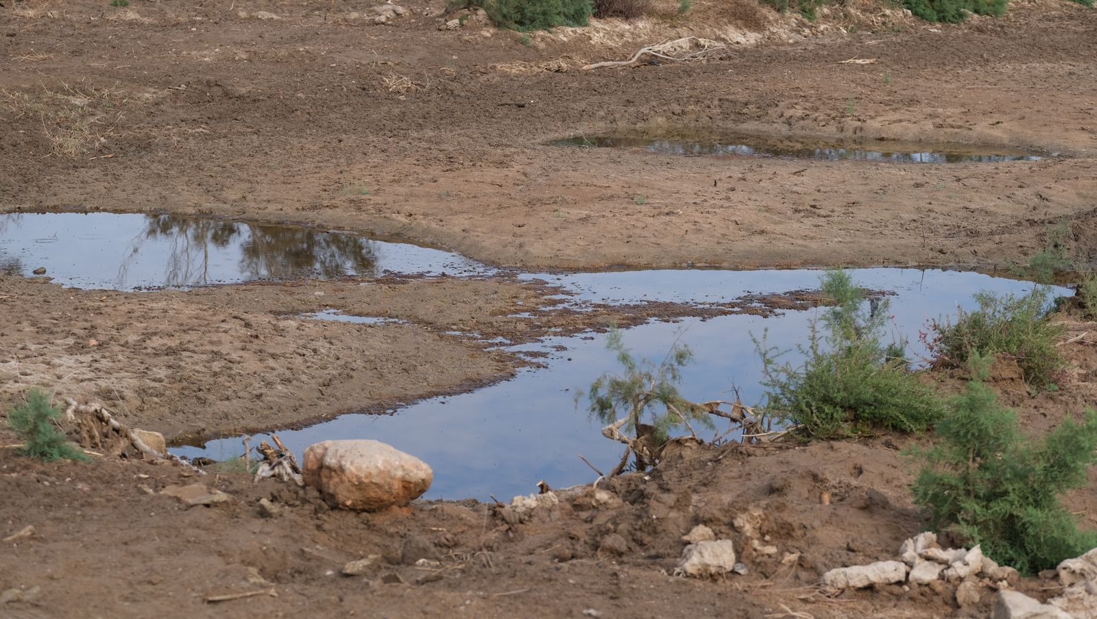 Restauración paisajística de la Rambla Morales, Cabo de Gata. Almería