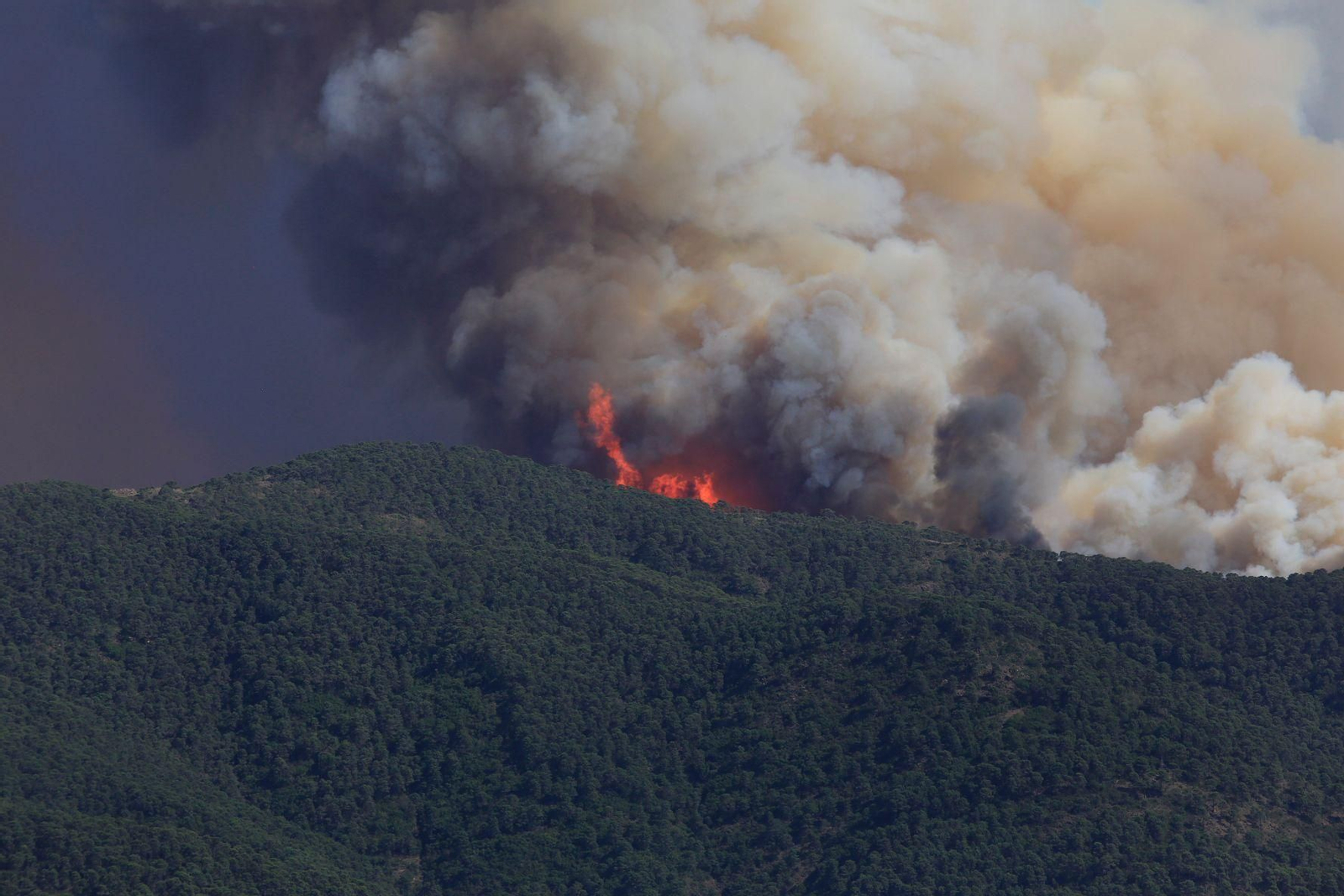 El incendio en Pujerra, en Málaga, en fotos
