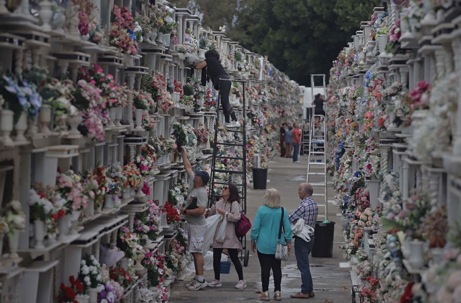 PREPARATIVOS TOSANTOS ALGECIRAS ERASMO (154)