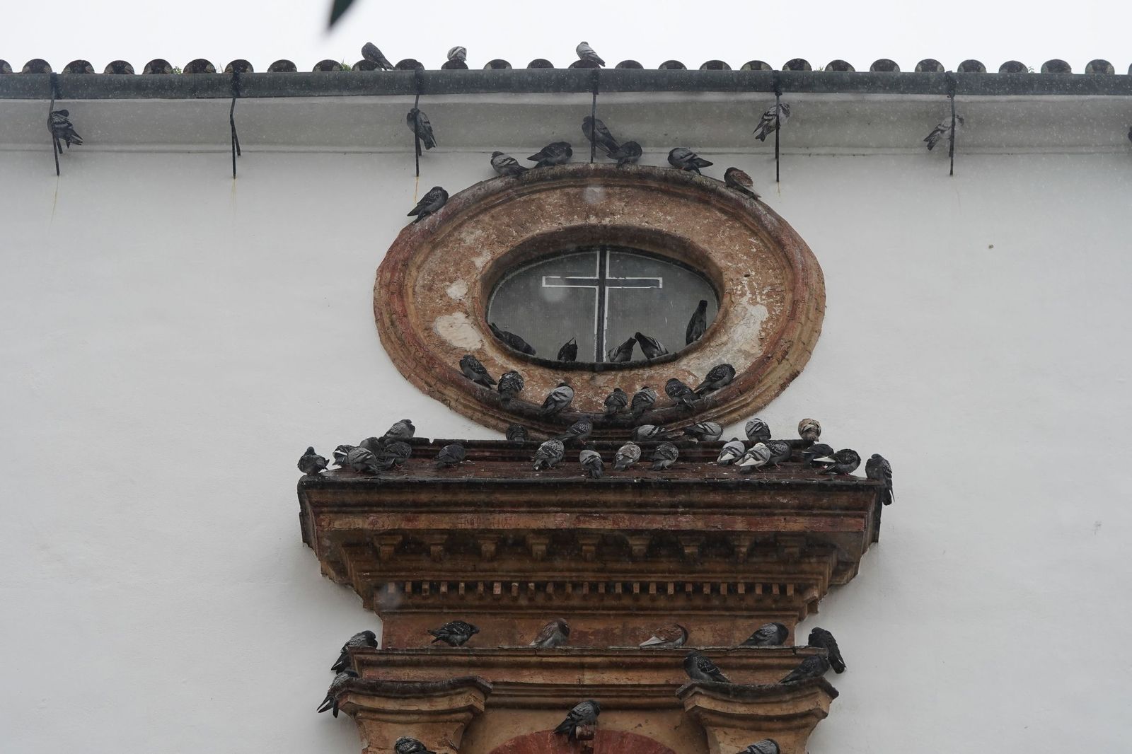 Fotos de las lluvias de la borrasca Leonardo este miércoles en Algeciras