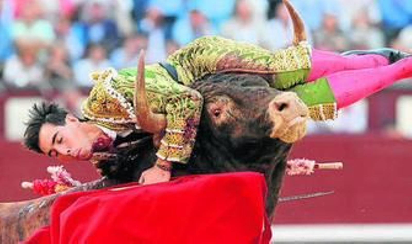 Fortes, al recibir la cornada.