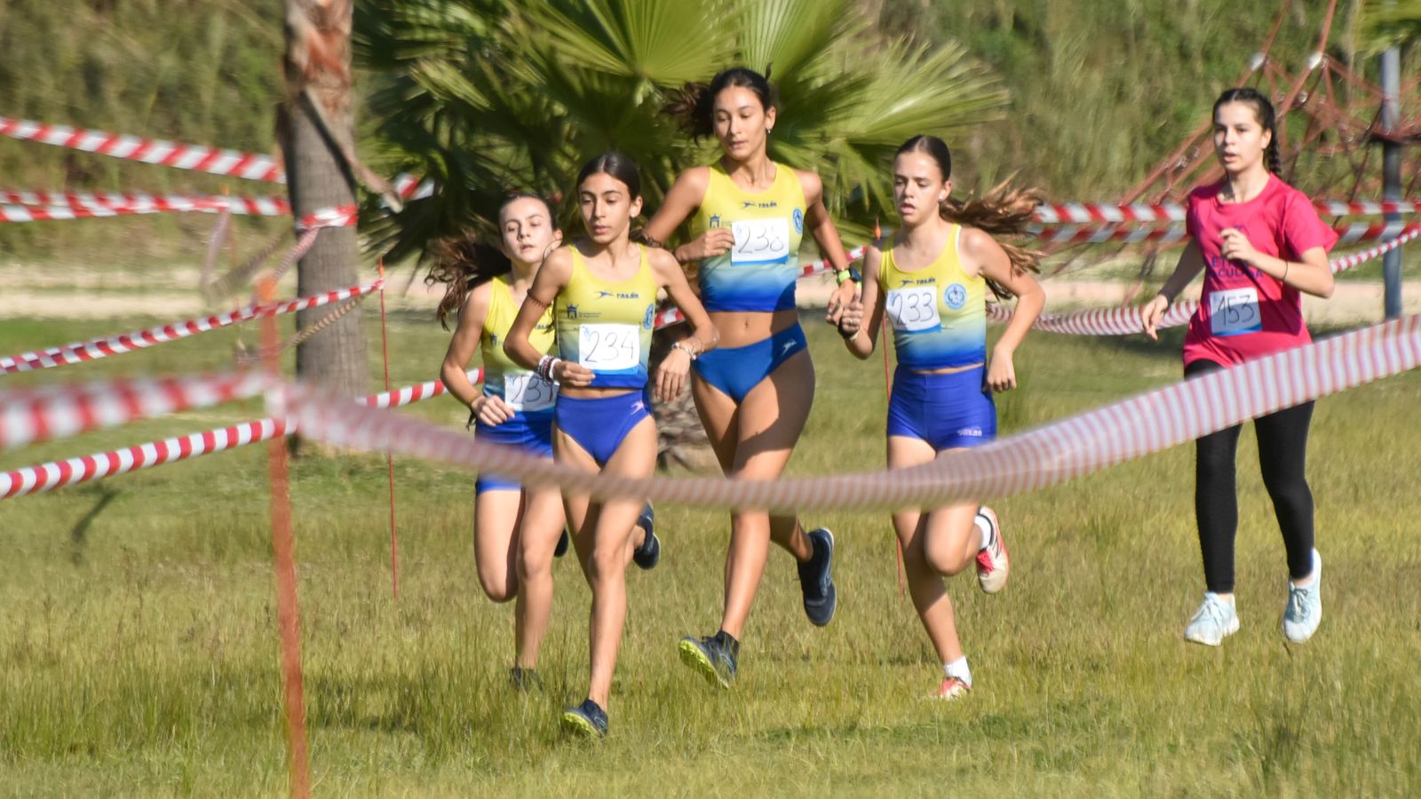 Las fotos del  V cross 'Con el Mar de Fondo' de los Juegos Municipales de atletismo de Algeciras