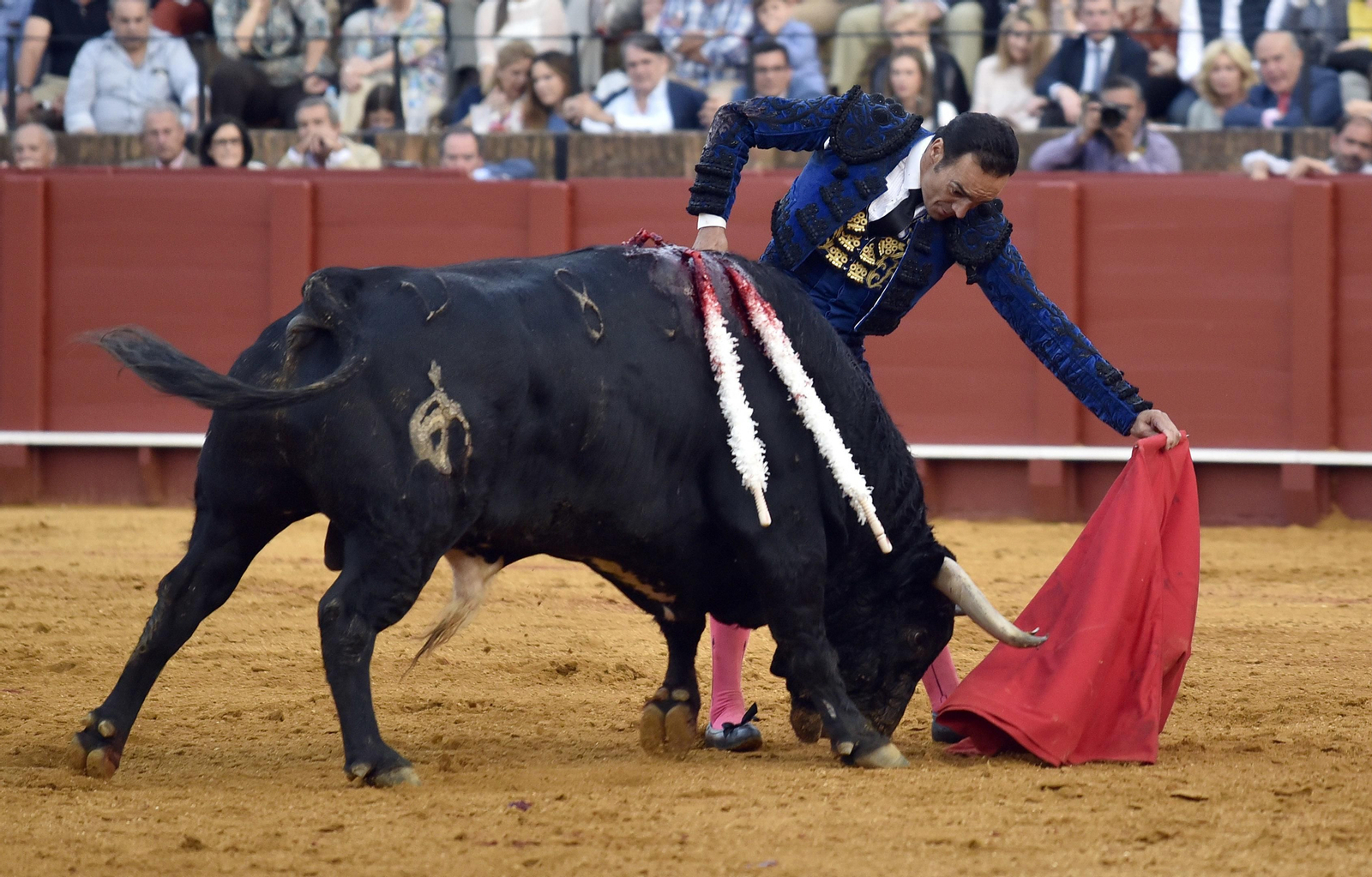 Las imágenes de la segunda de abono de la Maestranza