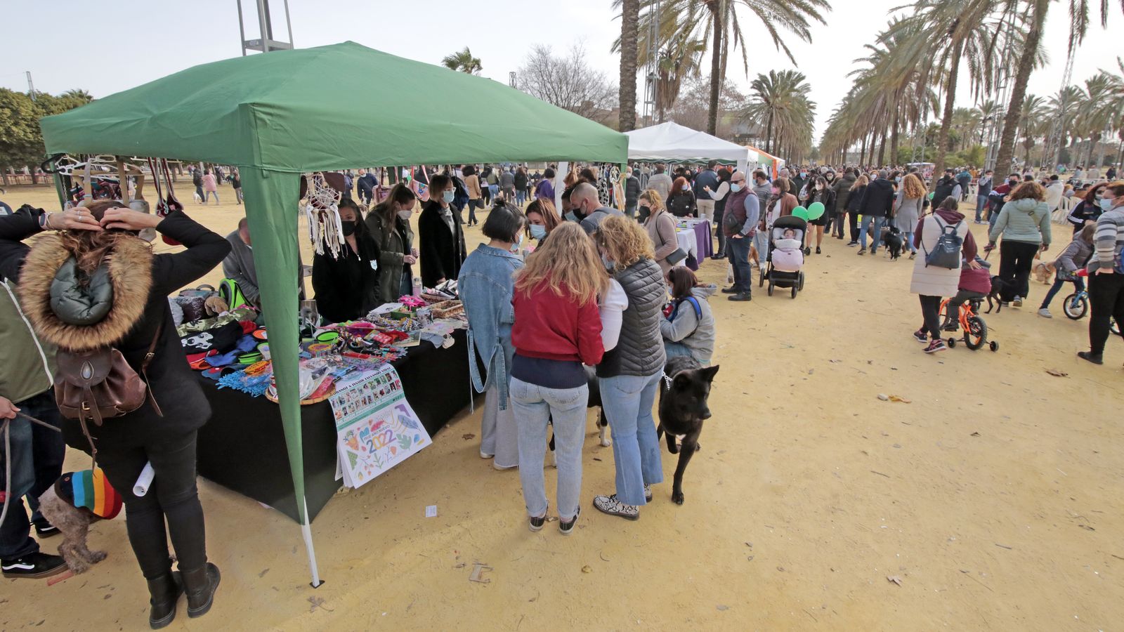 Imágenes de la 'Fiesta de San Antón 2022'