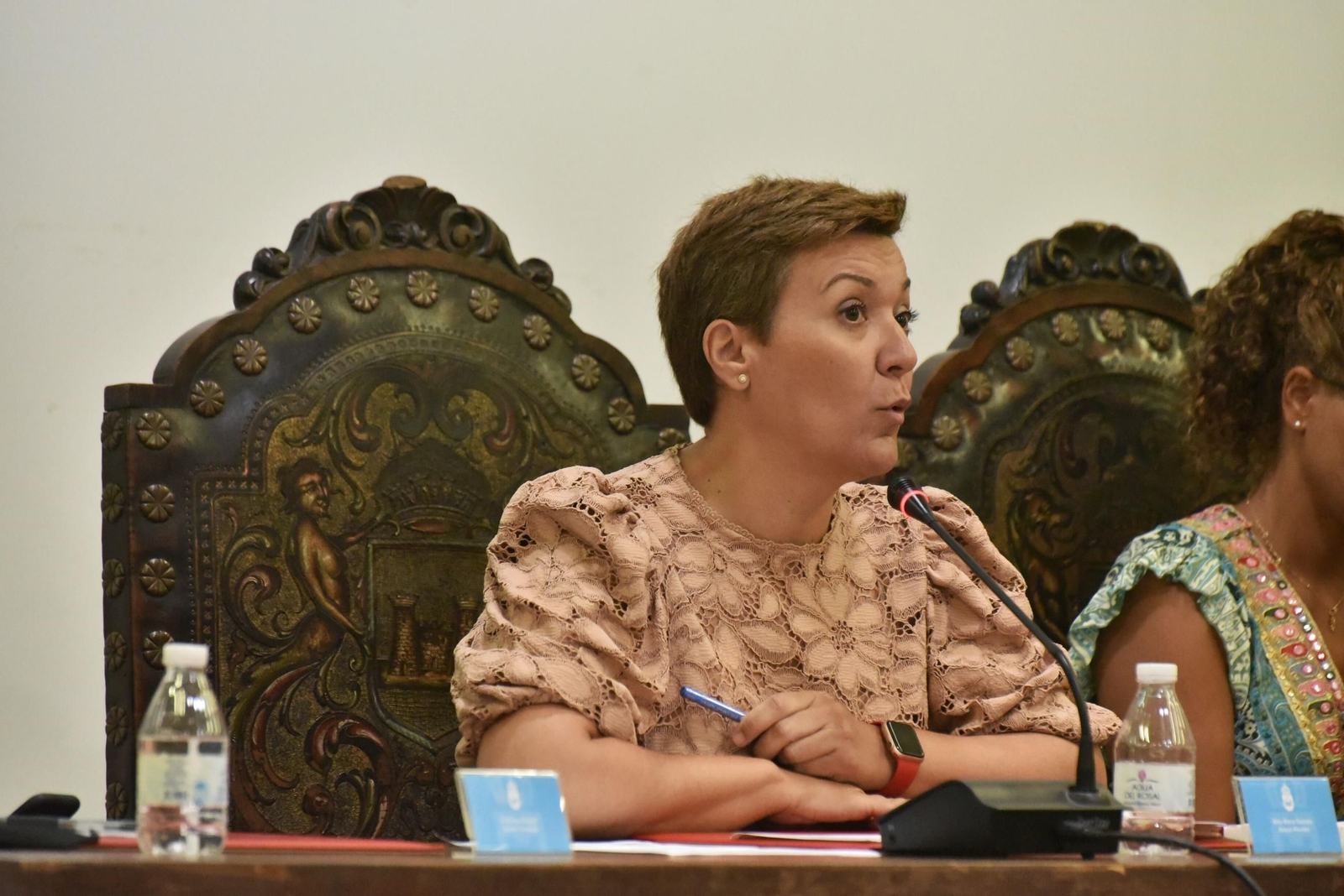 Gemma Araujo, durante un pleno del actual mandato.