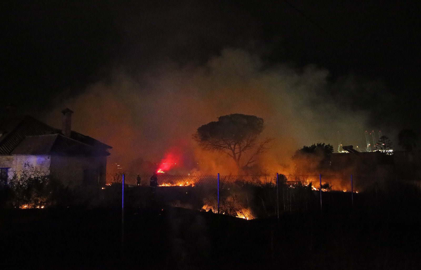 Fotos del incendio de vegetación en La Ermita
