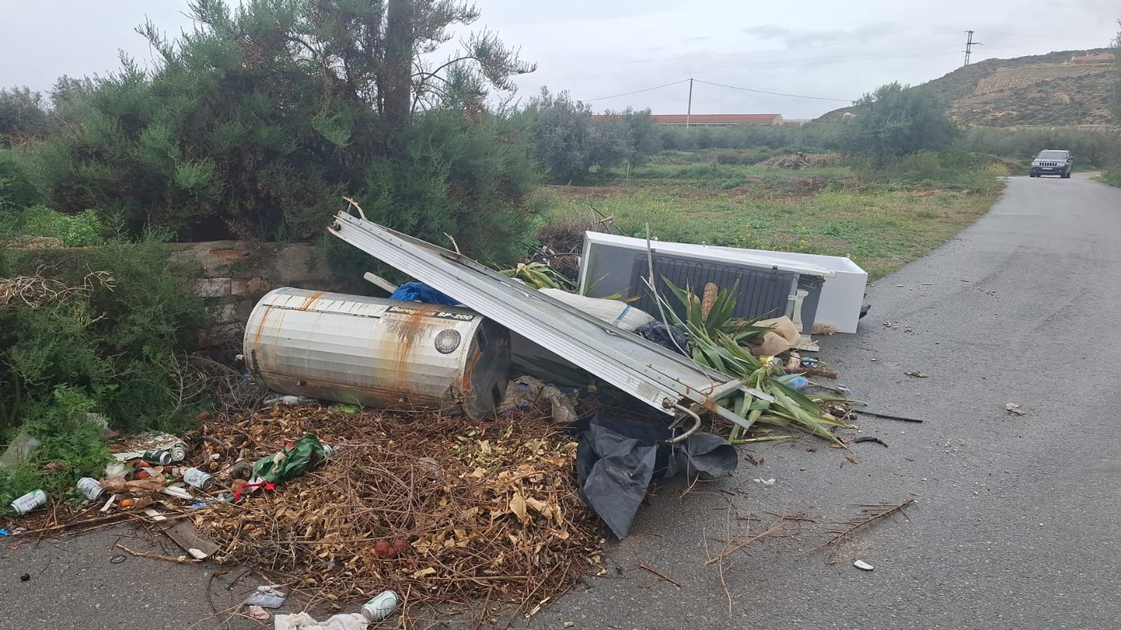 Algunos de los residuos encontrados en las calles del municipio.