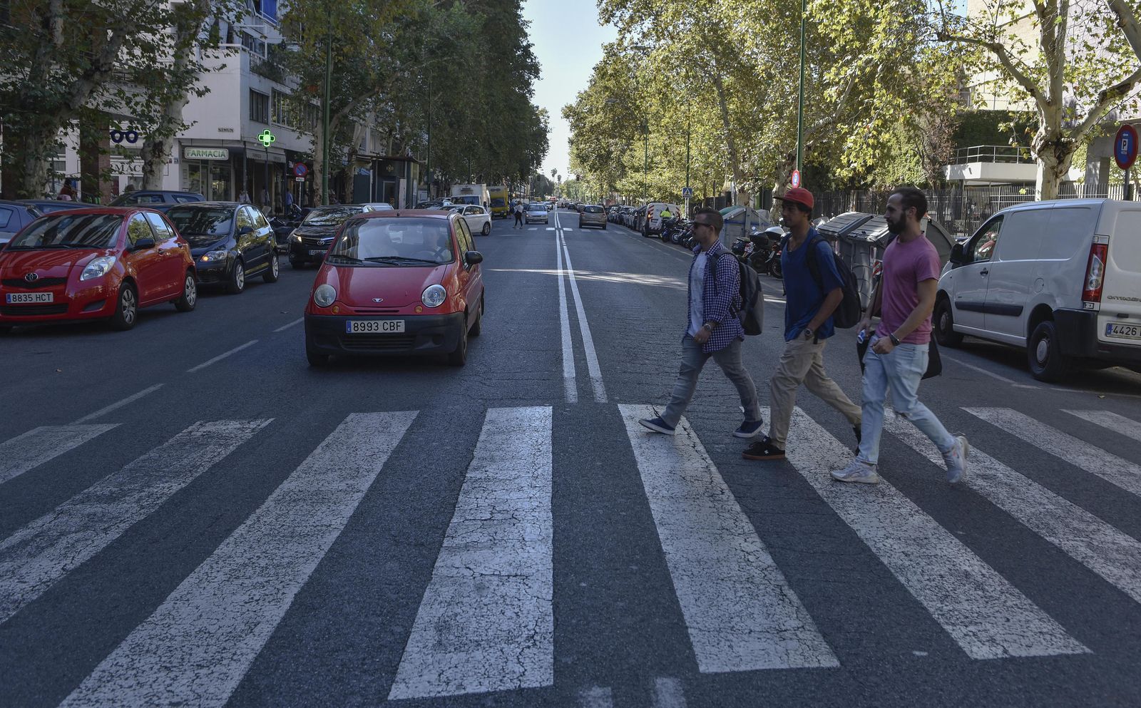 La Avenida de Reina Mercedes.