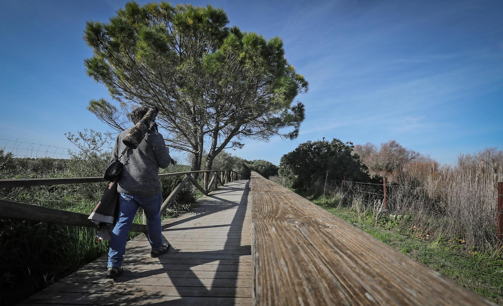 La Laguna de Medina, un paraíso para las aves