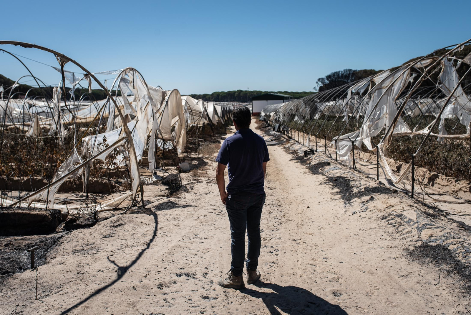 El rastro del incendio de Almonte en imágenes