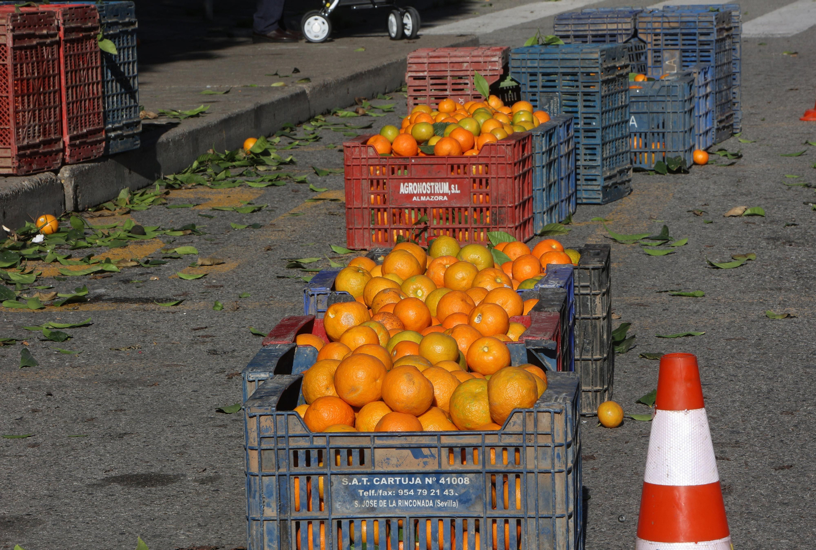 Recogida de la naranja de las calles de Sevilla