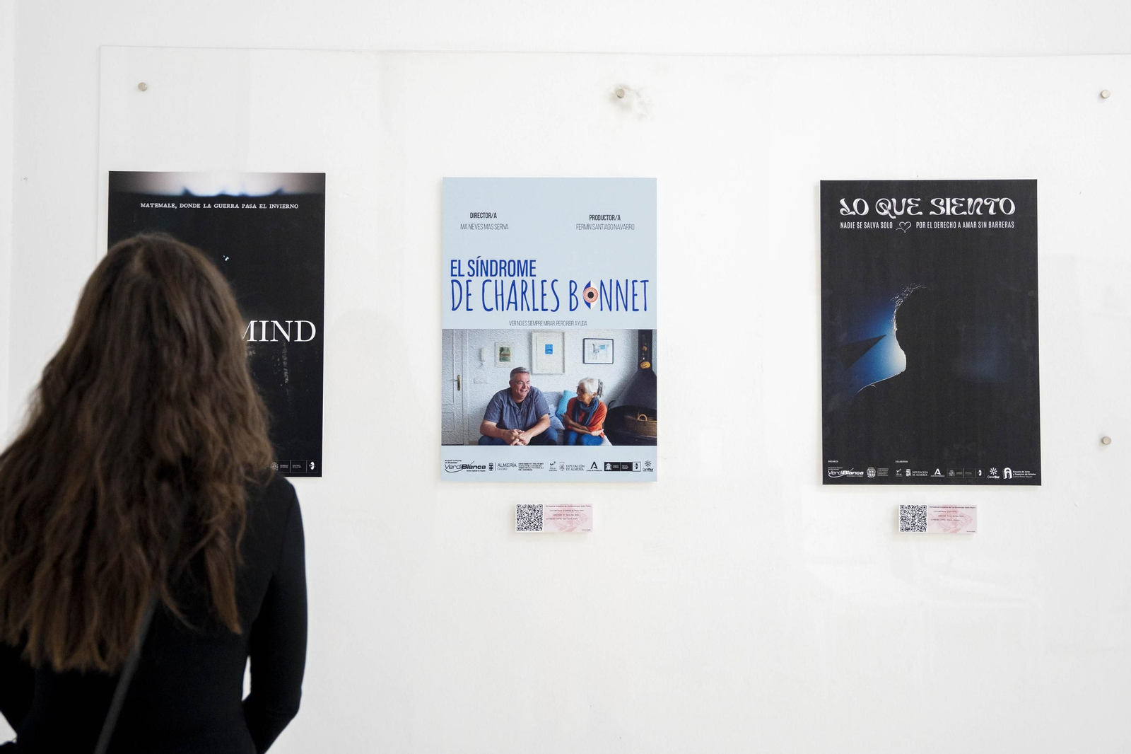 Las imágenes de la exposición "Carteles para un Gallo Pedro"