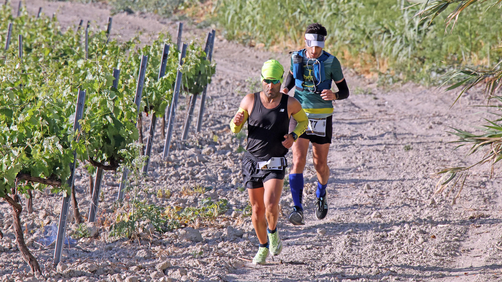 VI Sherry Maratón Jerez
