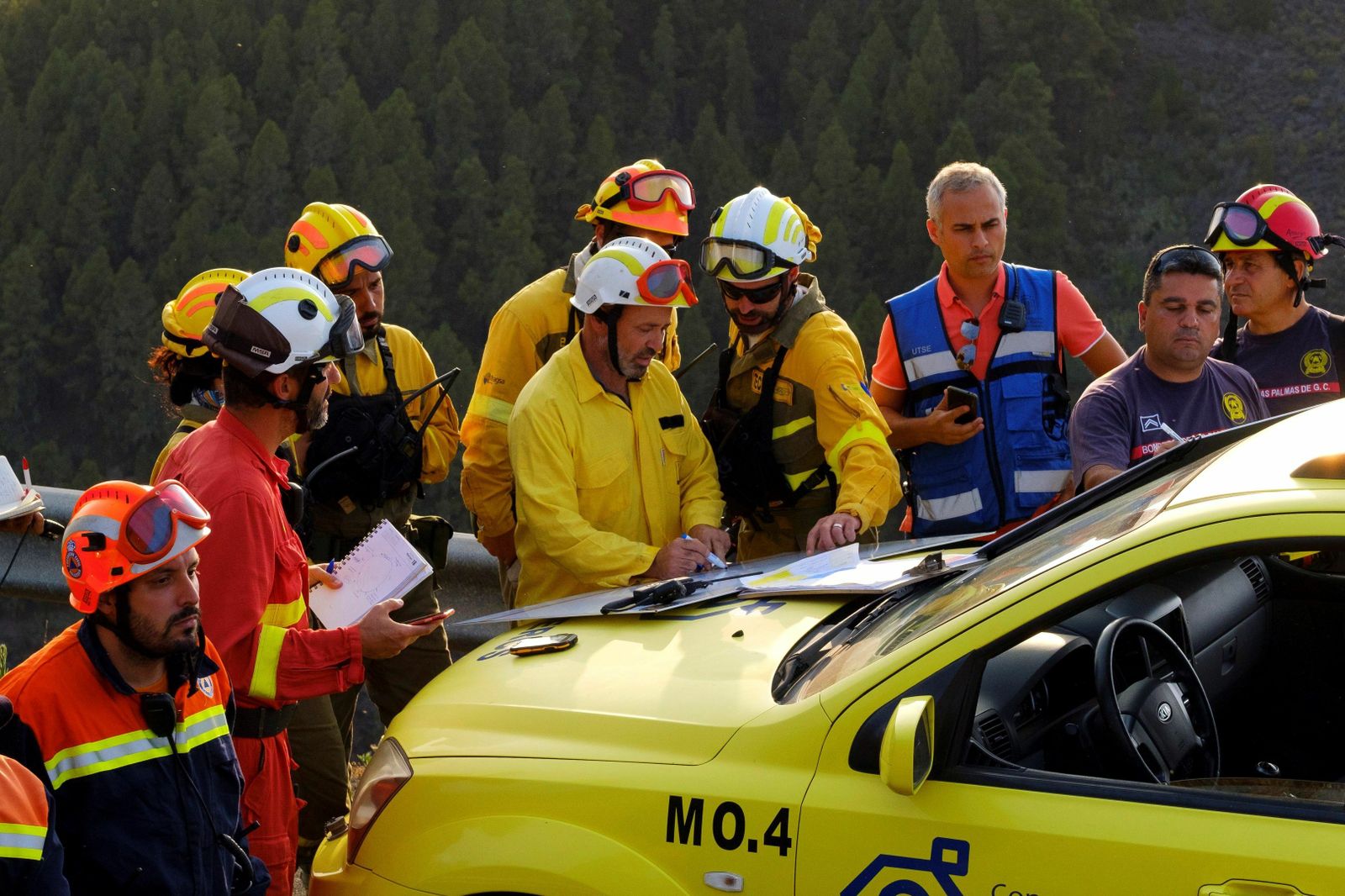 Las imágenes del incendio forestal en Gran Canaria.