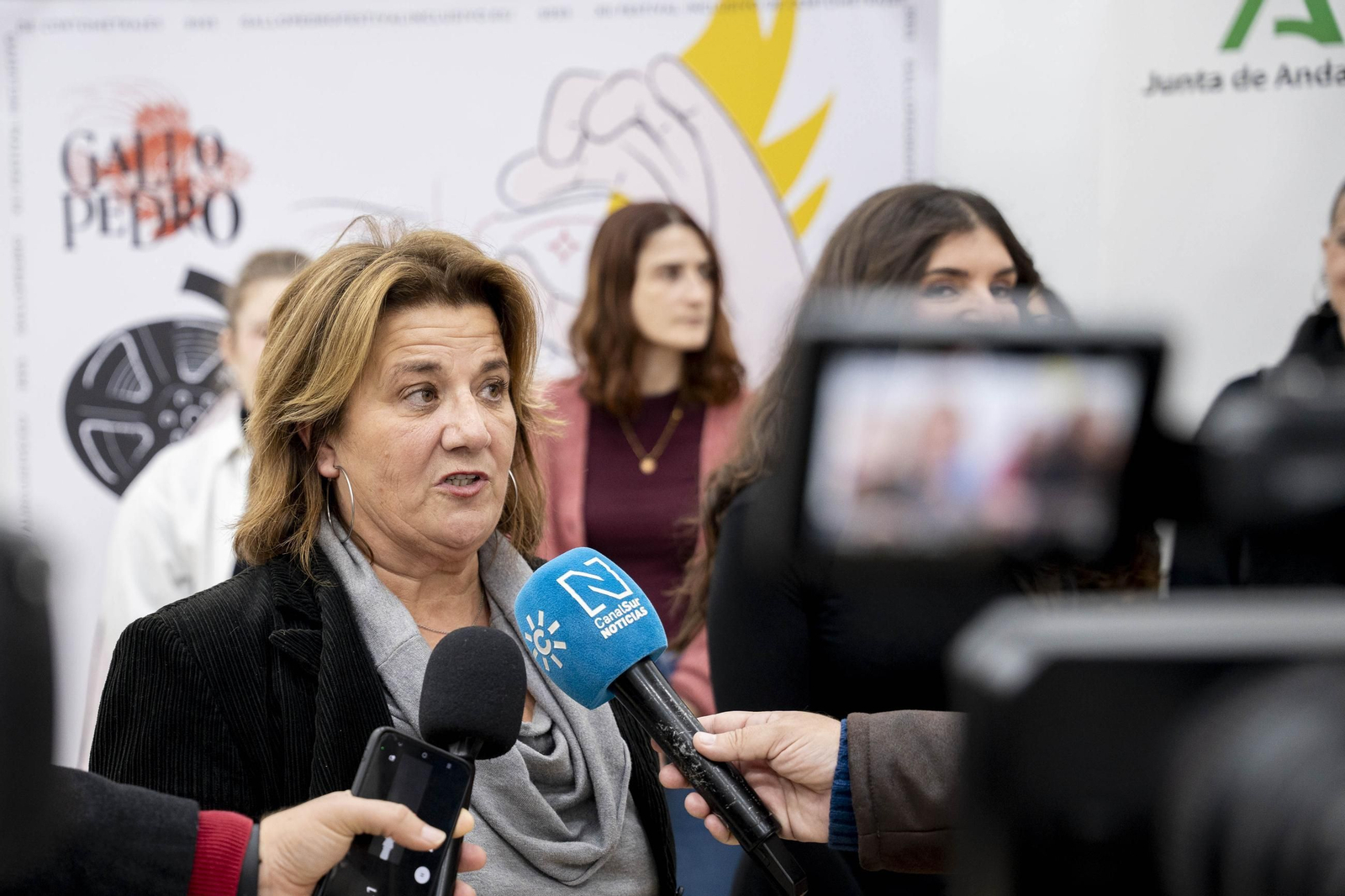 Las imágenes de la exposición "Carteles para un Gallo Pedro"