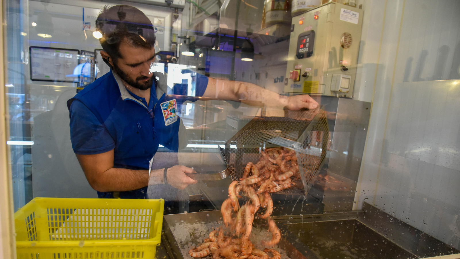 Pescaderia Antonio Martín