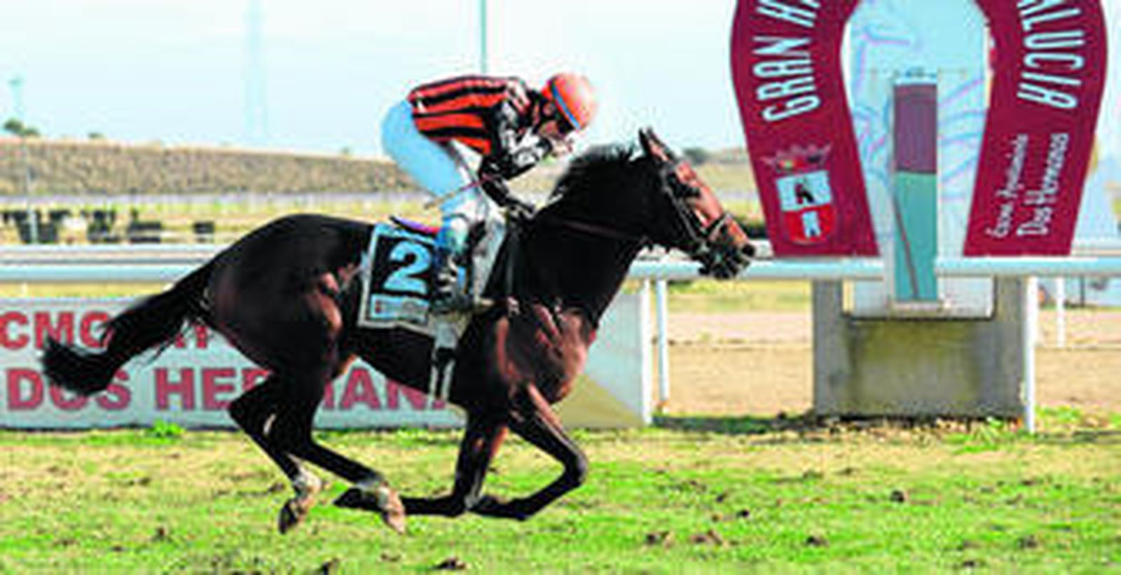 El jinete luso Mario Homes lleva al triunfo a 'Achtung' en el Premio Lotería y Apuestas del Estado, la mayor prueba de fondo de la temporada de invierno de Dos Hermanas.