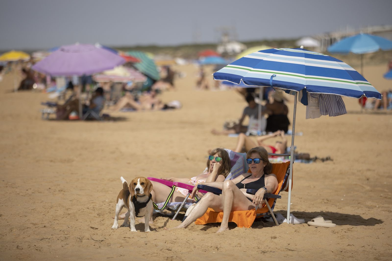 Imágenes del ambiente en las playas en este sábado 8 de abril