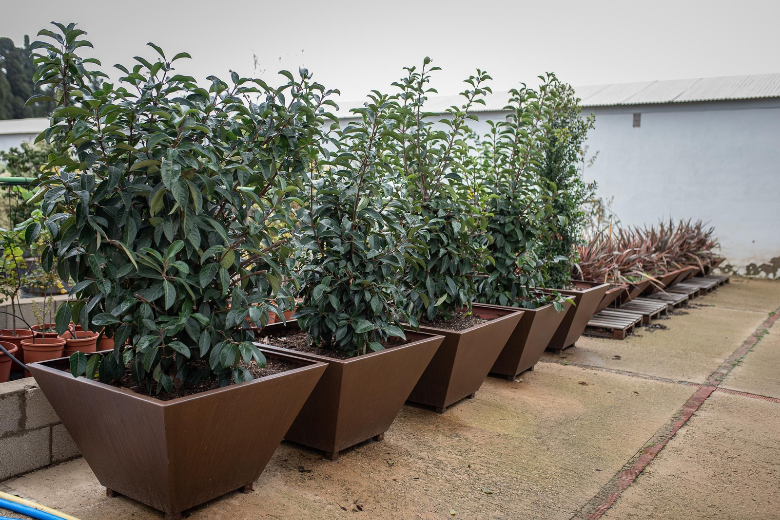 Visita al vivero municipal en imágenes