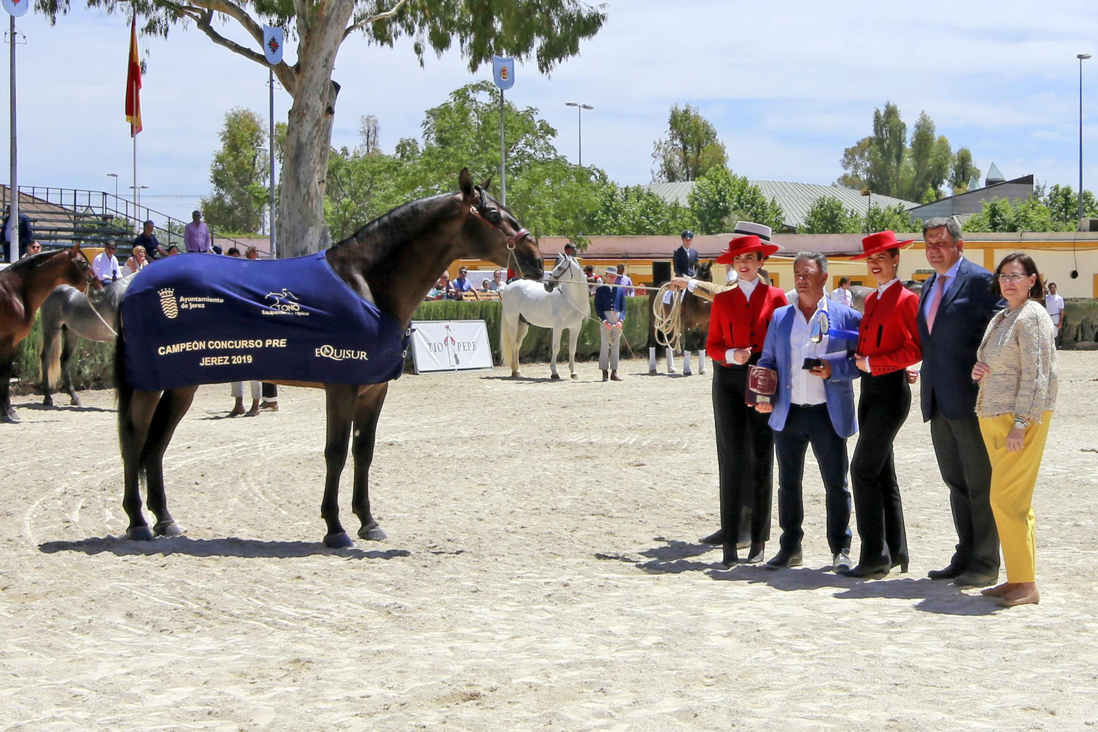 Trofeos de los concursos de Enganches y Morfológicos en la Feria de Jerez