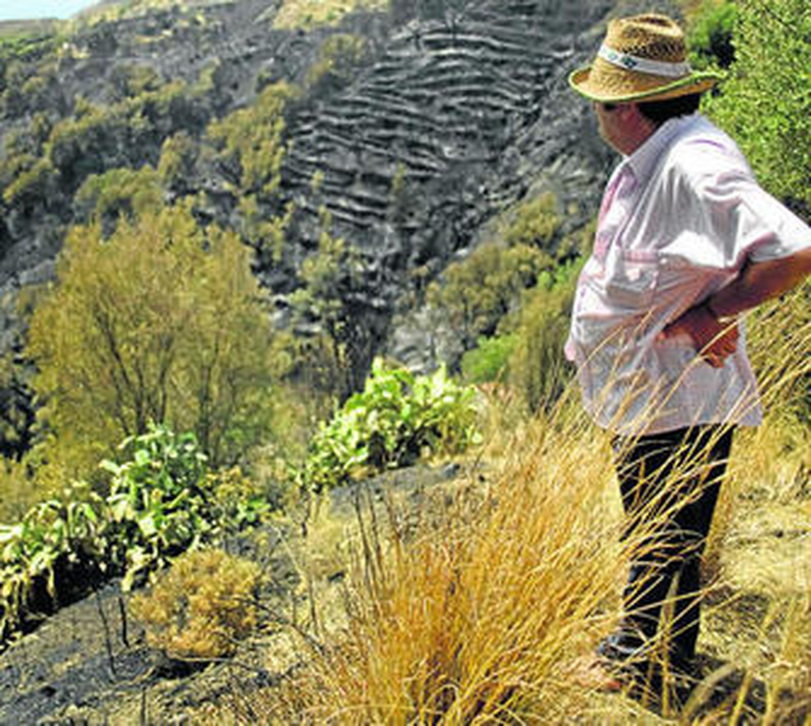 Un agricultor contempla sus tierras quemadas en Ojén, el pasado fin de semana.