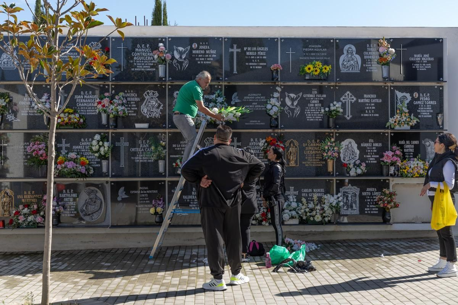 Día de Los Santos en el cementerio de San Fernando y San Eufrasio de Jaén, en imágenes