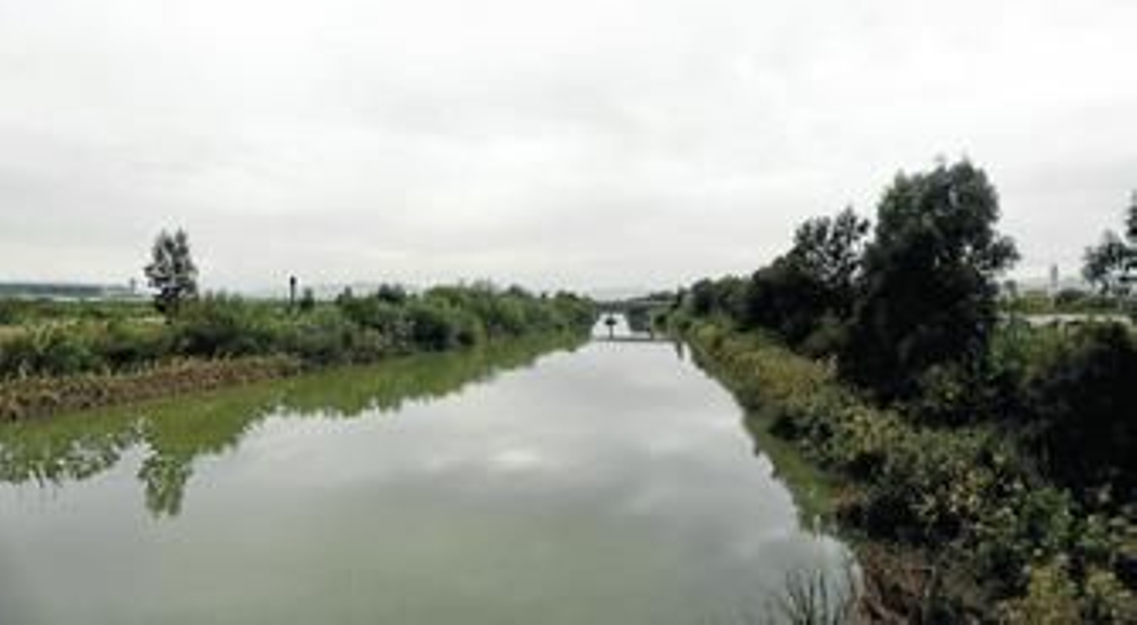 El río Guadalhorce, aguas arriba, en cuyas márgenes se localizan varios de los sectores del Plan General afectados por la medida de la Junta.