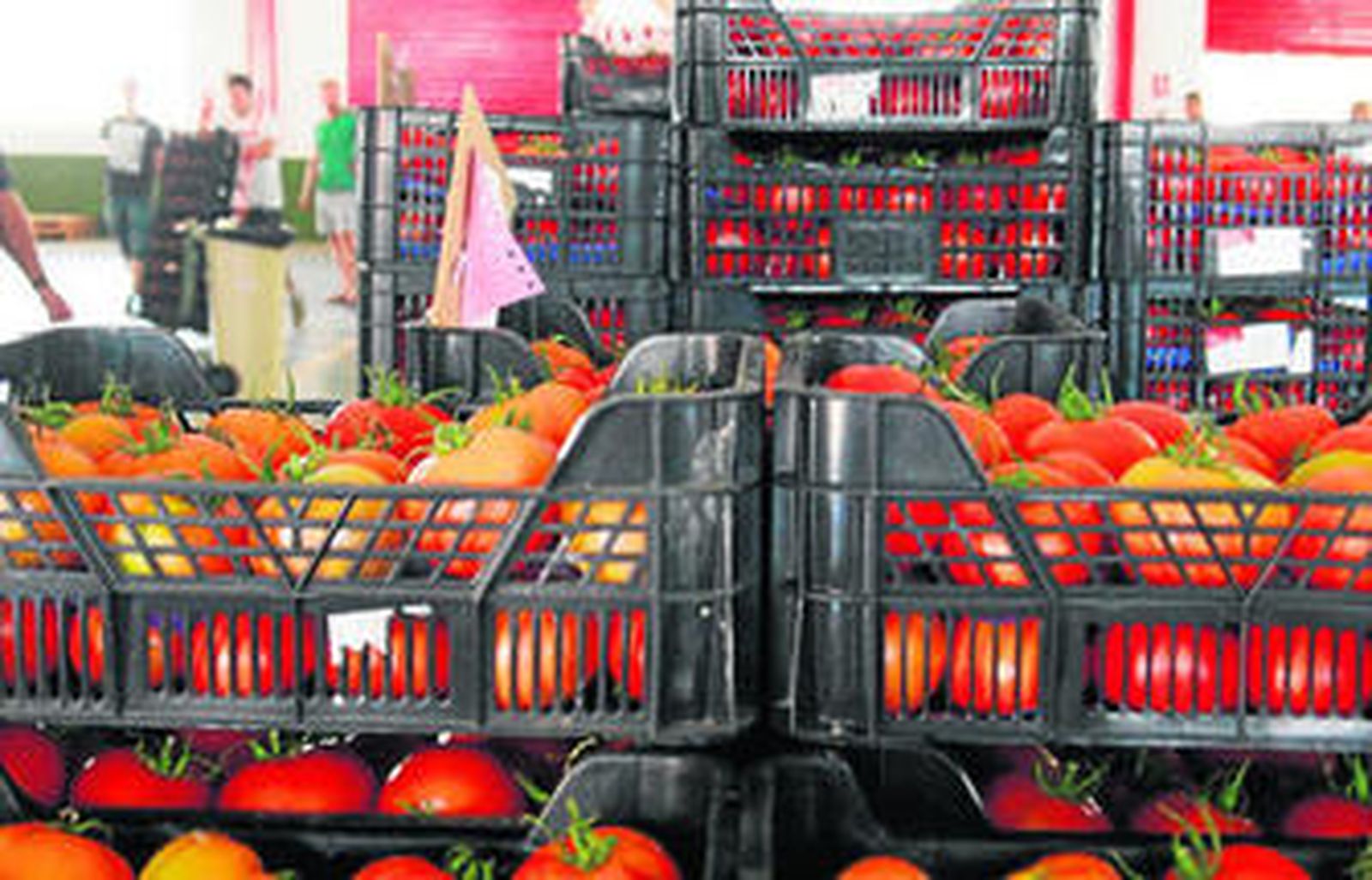 Instalaciones de Agrupalmería en su sede de La Cañada.