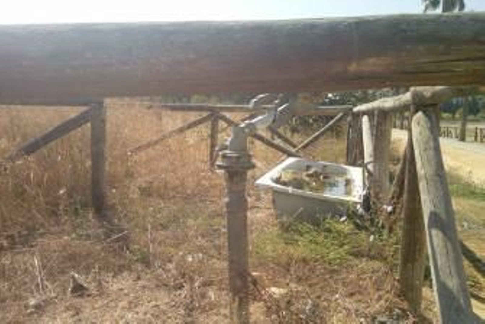 Imagen del estado en el que se encuentra la pradera de Chapín