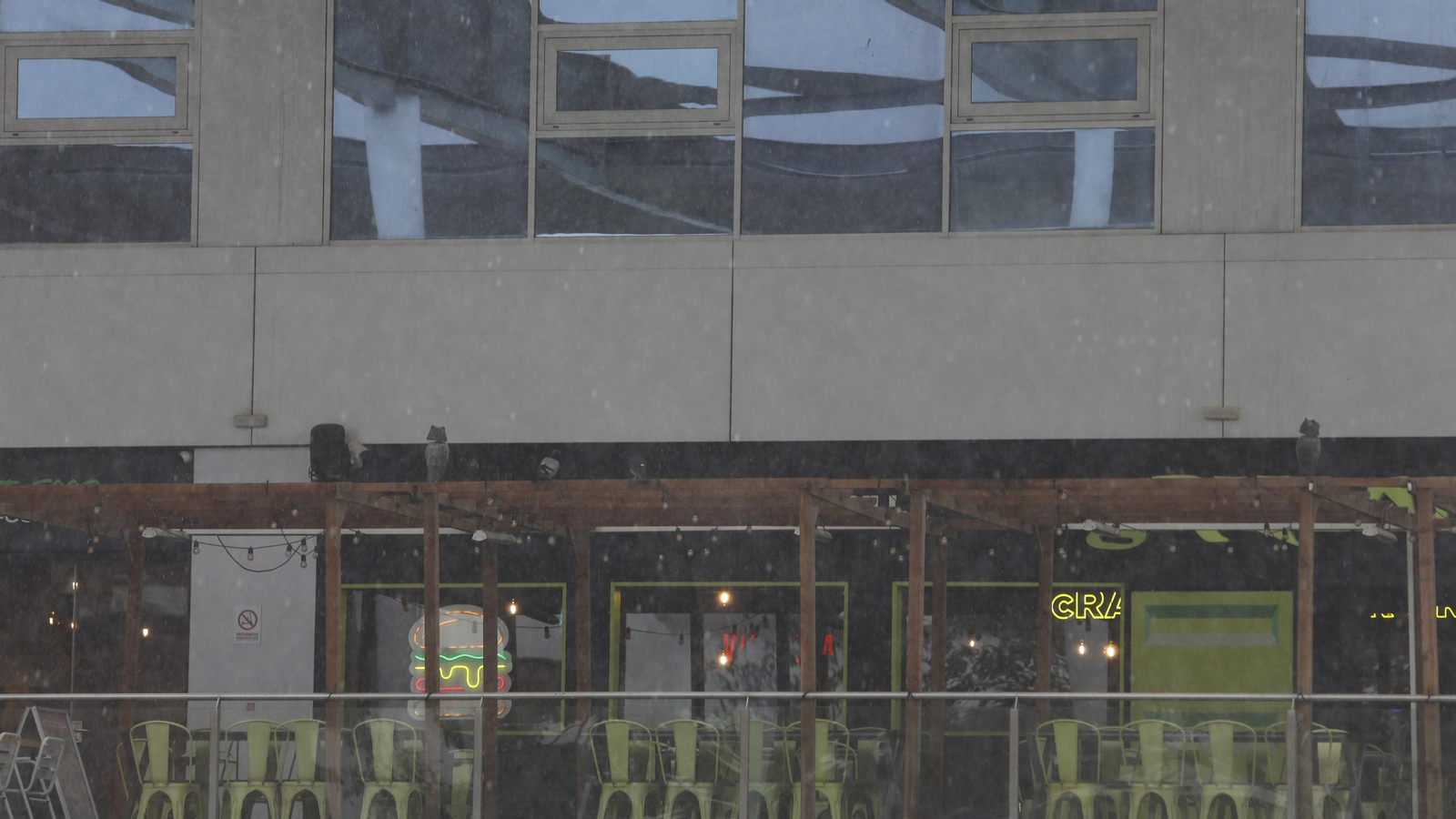 Fotos de la borrasca Nelson en el Campo de Gibraltar