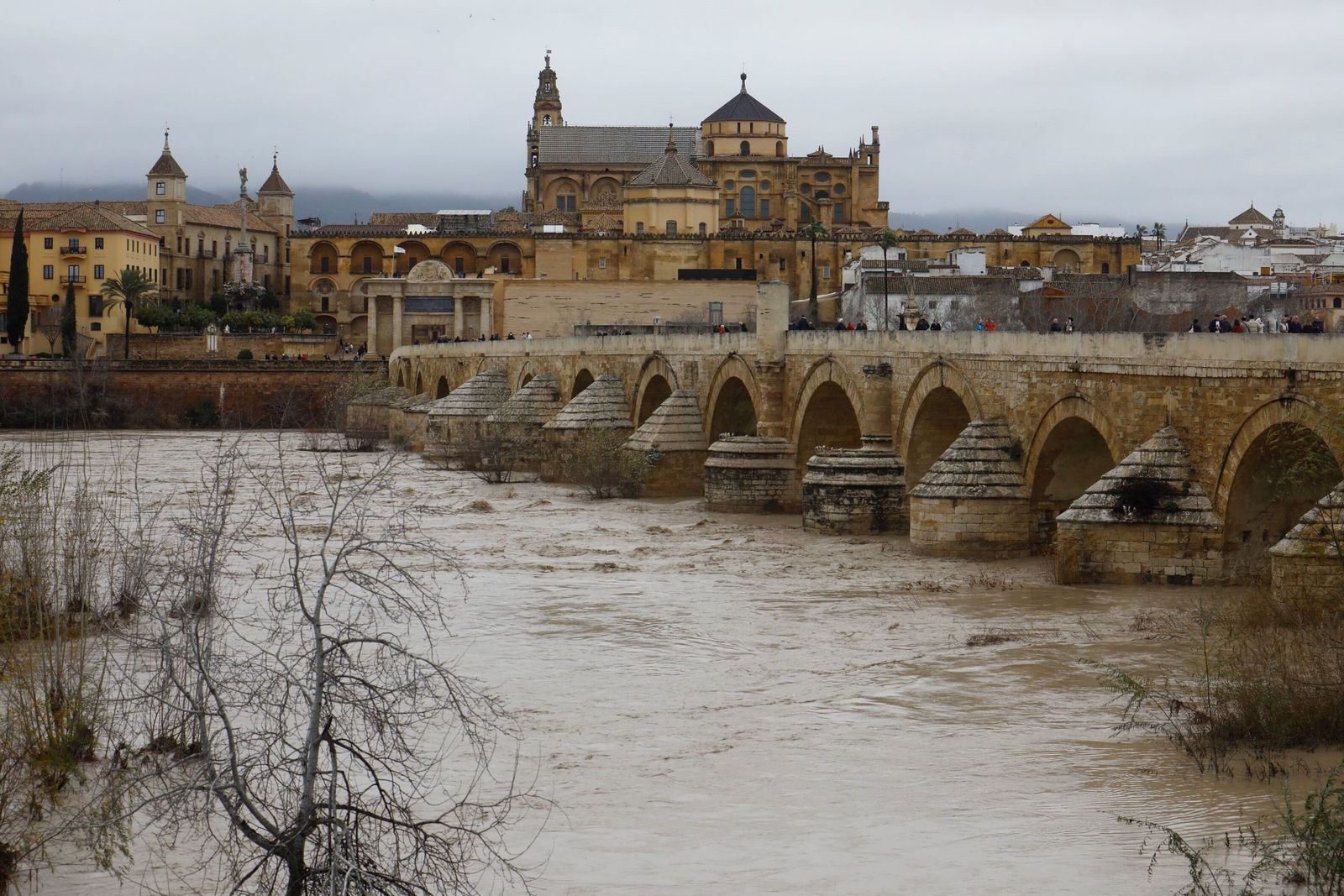 El río Guadalquivir a su paso por Córdoba tras la borrasca Kristin