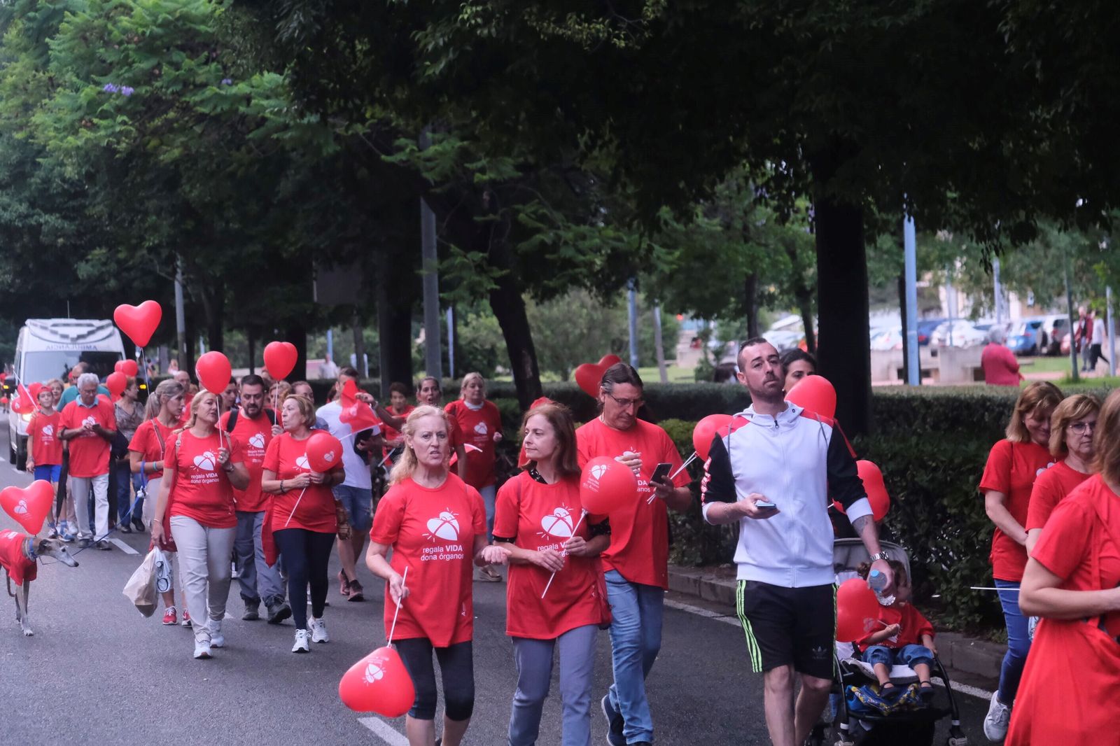 La marcha por la donación tiñe de rojo las calles de Córdoba, en imágenes