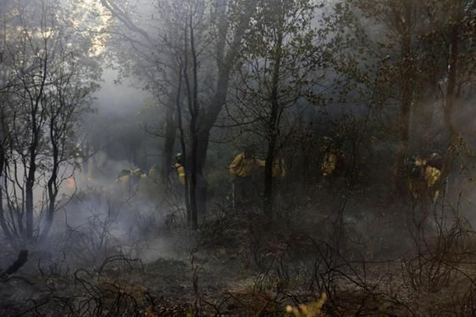 Un retén numeroso trabaja entre humo y llamas

Foto: Javier Flores