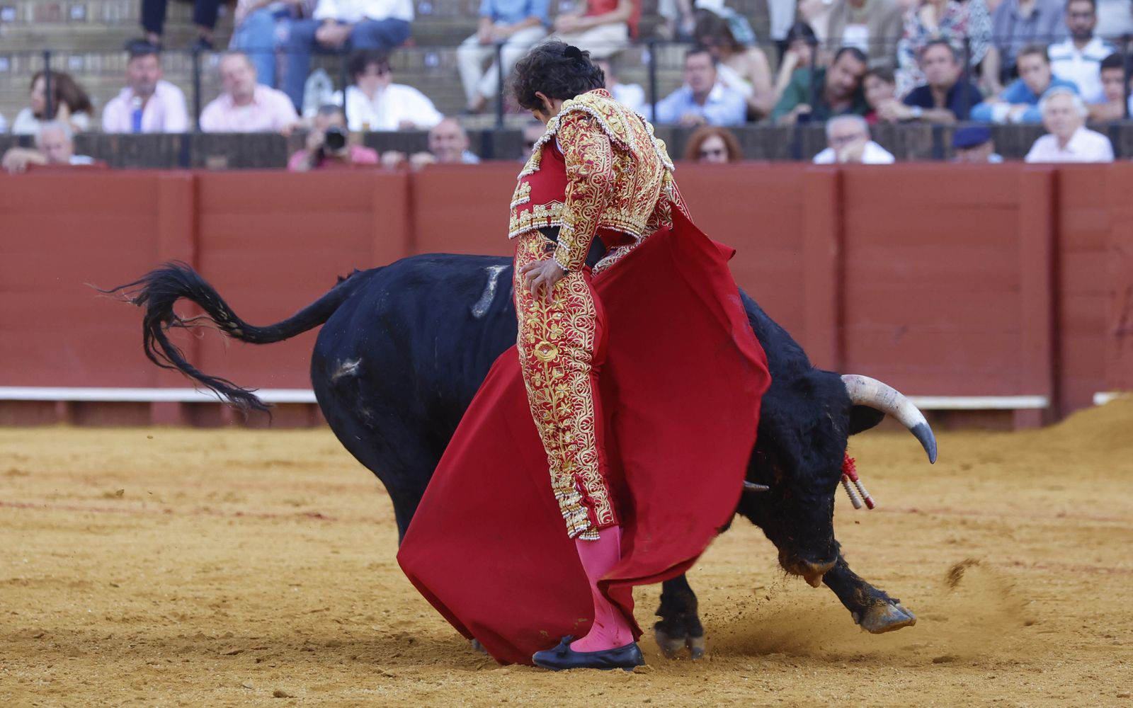 Las imágenes de la novillada en la Maestranza