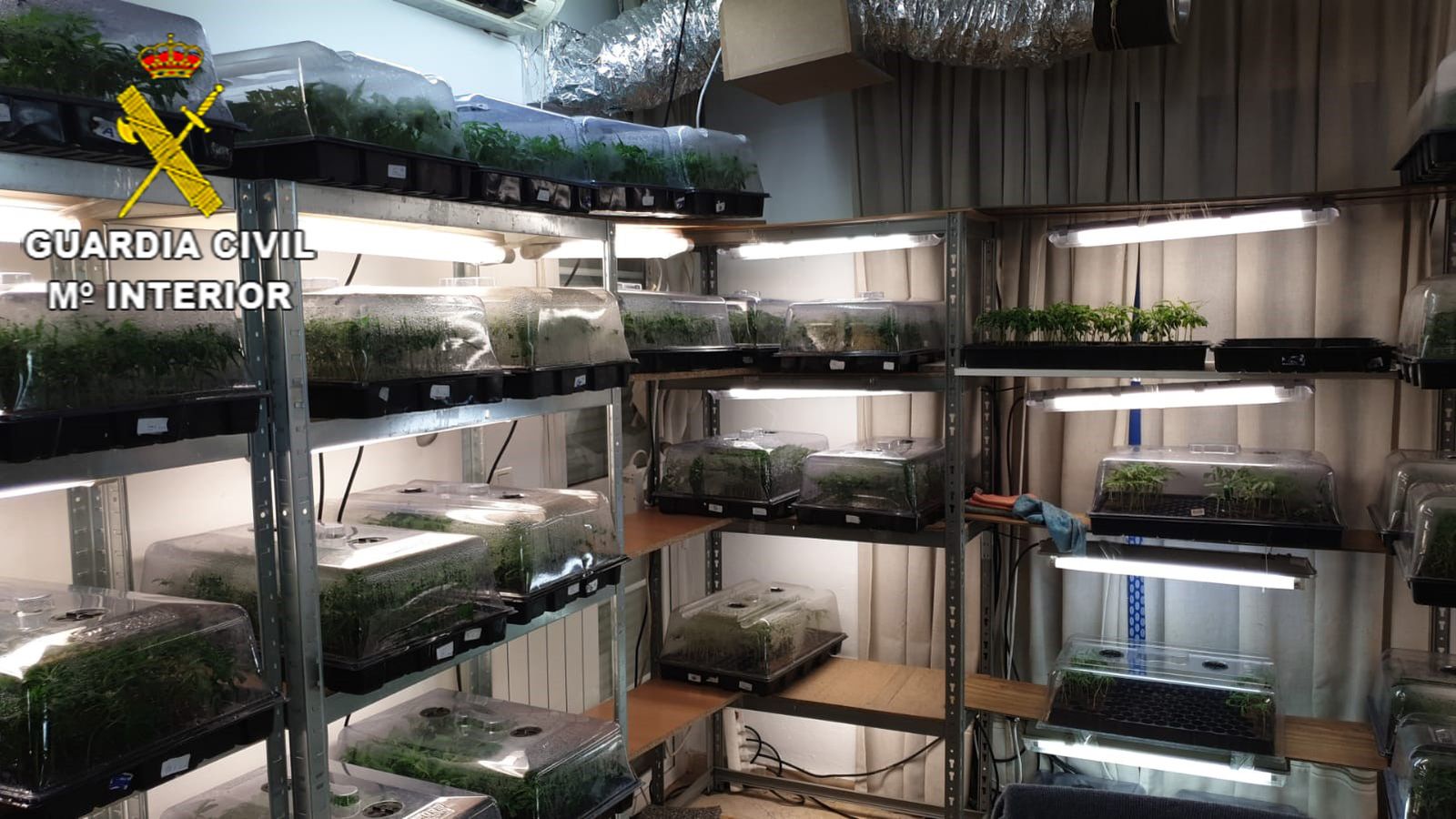 Aspecto del interior de la vivienda de Gójar, centro de producción de plantones de marihuana
