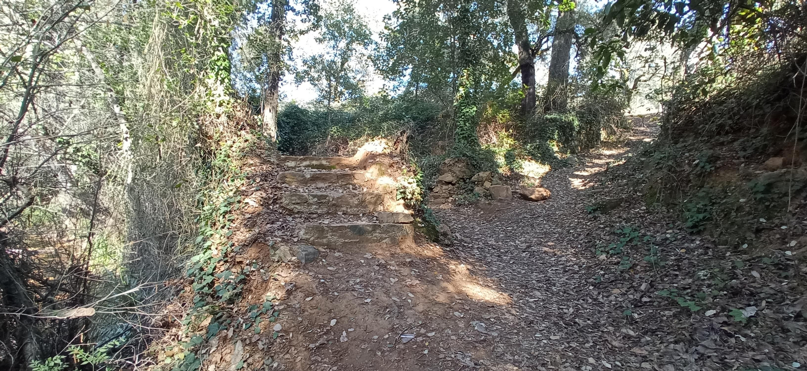 Las imágenes de la ruta de la cascada de Jollarancos y bosque de las letras