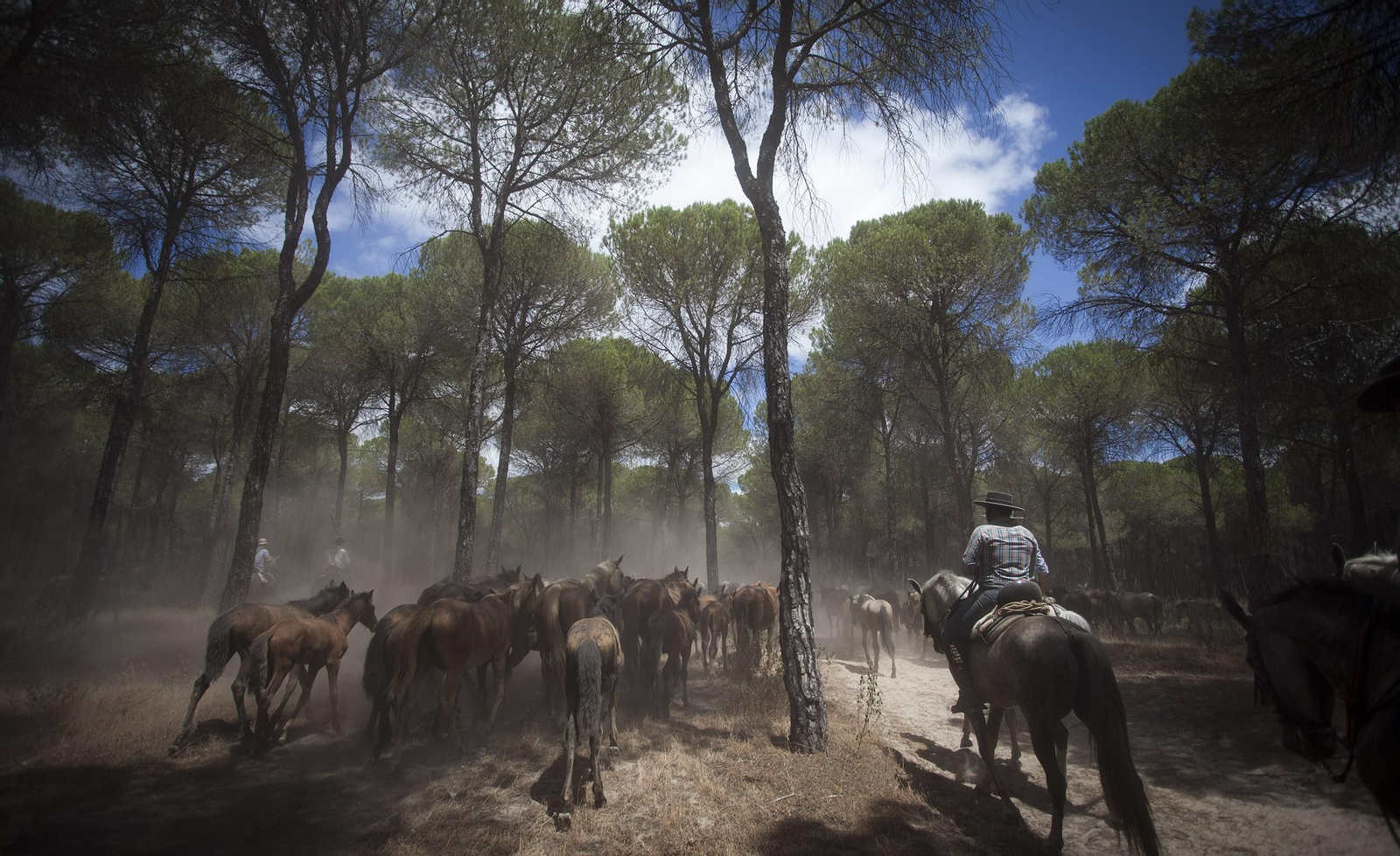 La Saca de las Yeguas, en imágenes