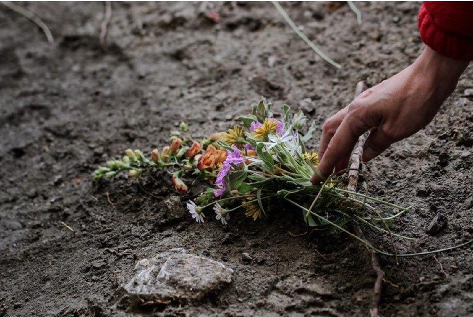 Entregan a su familia los restos de Eloísa Martín, primera mujer identificada en el Barranco de Víznar