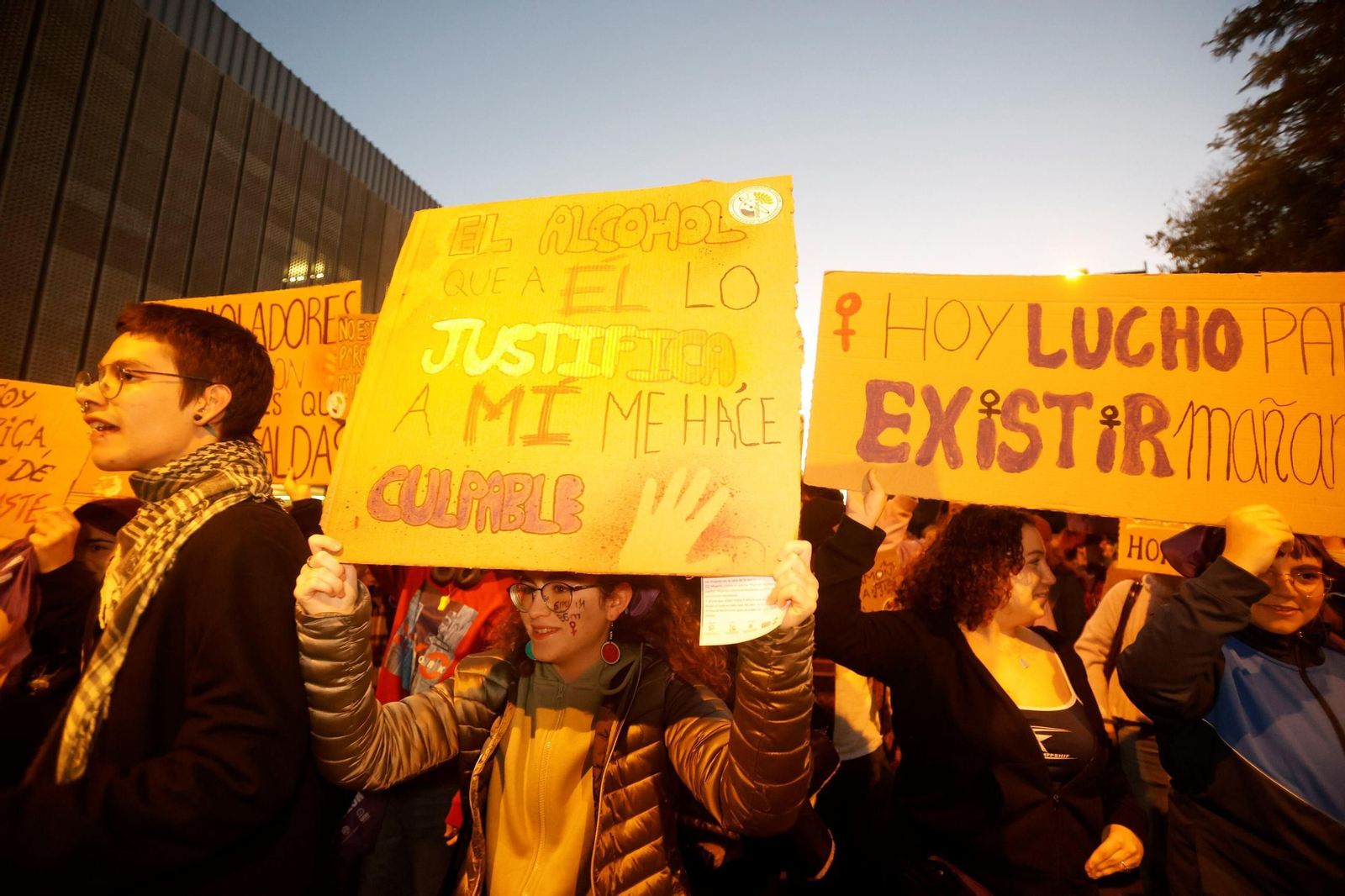 La manifestación del 25N en Córdoba